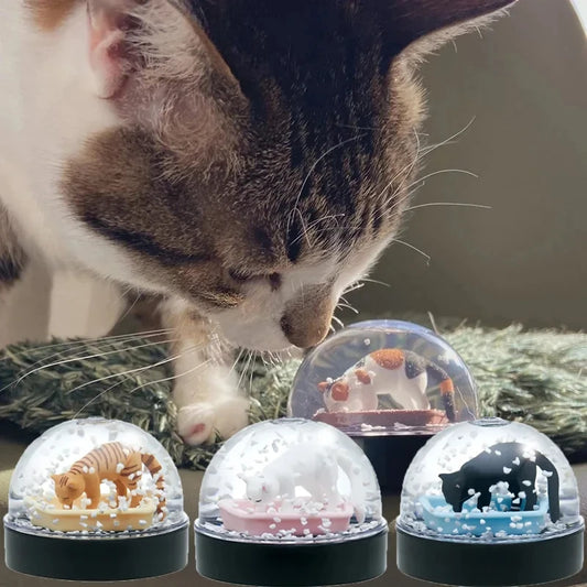 Cat Litter Snow Globe